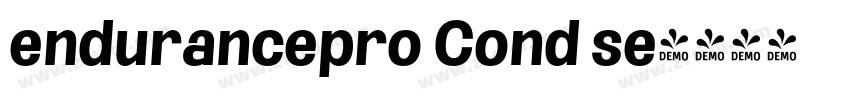 endurancepro Cond se字体转换